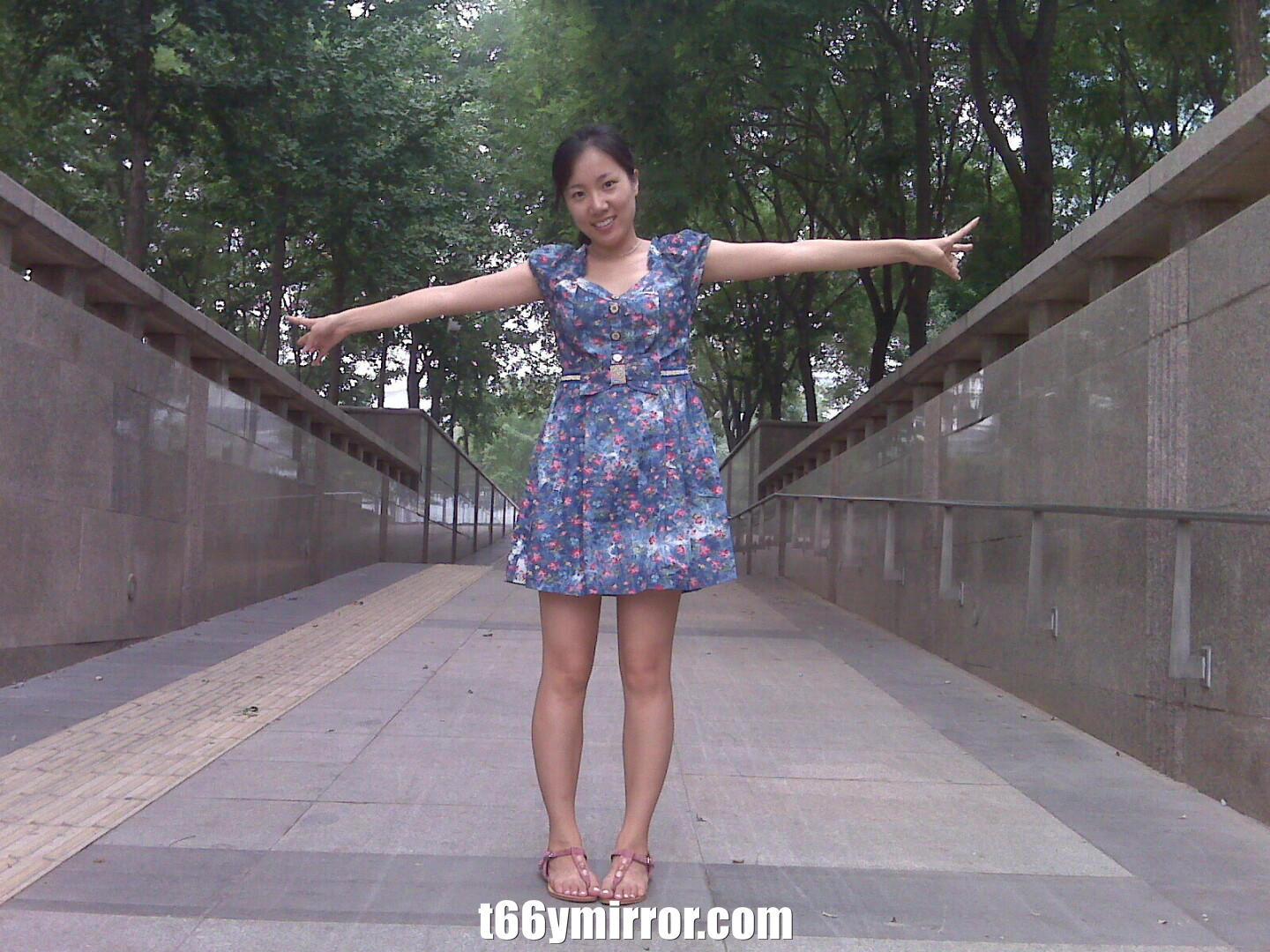 t66ymirror.com123
