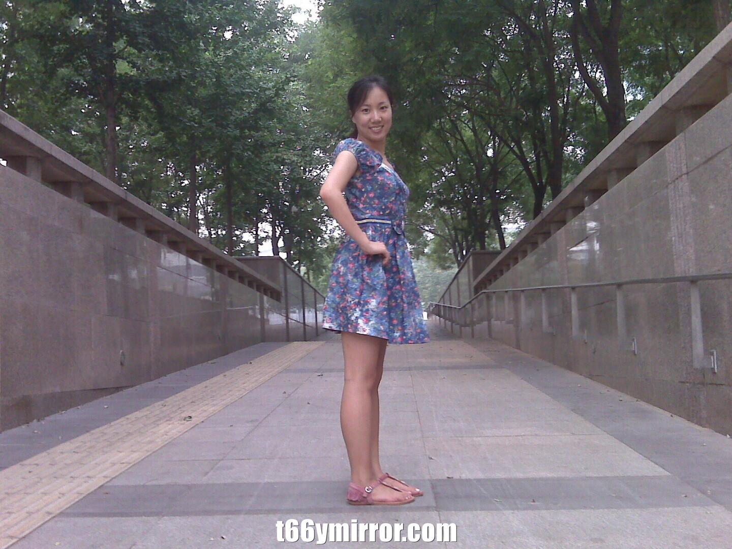 t66ymirror.com125