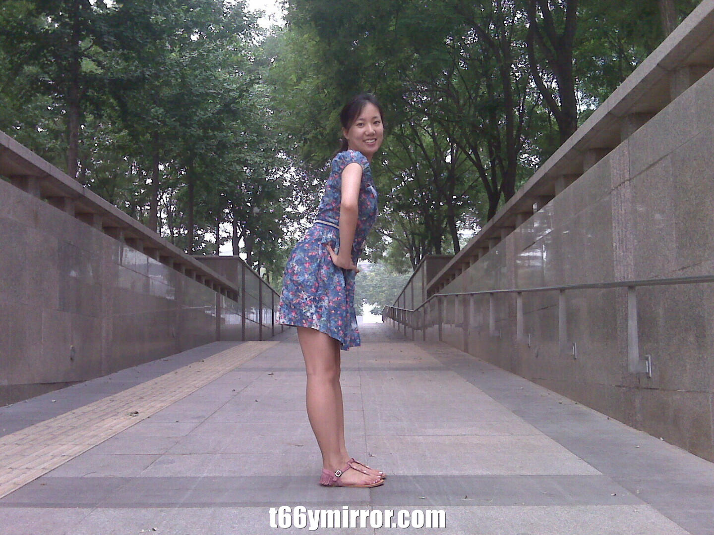 t66ymirror.com126