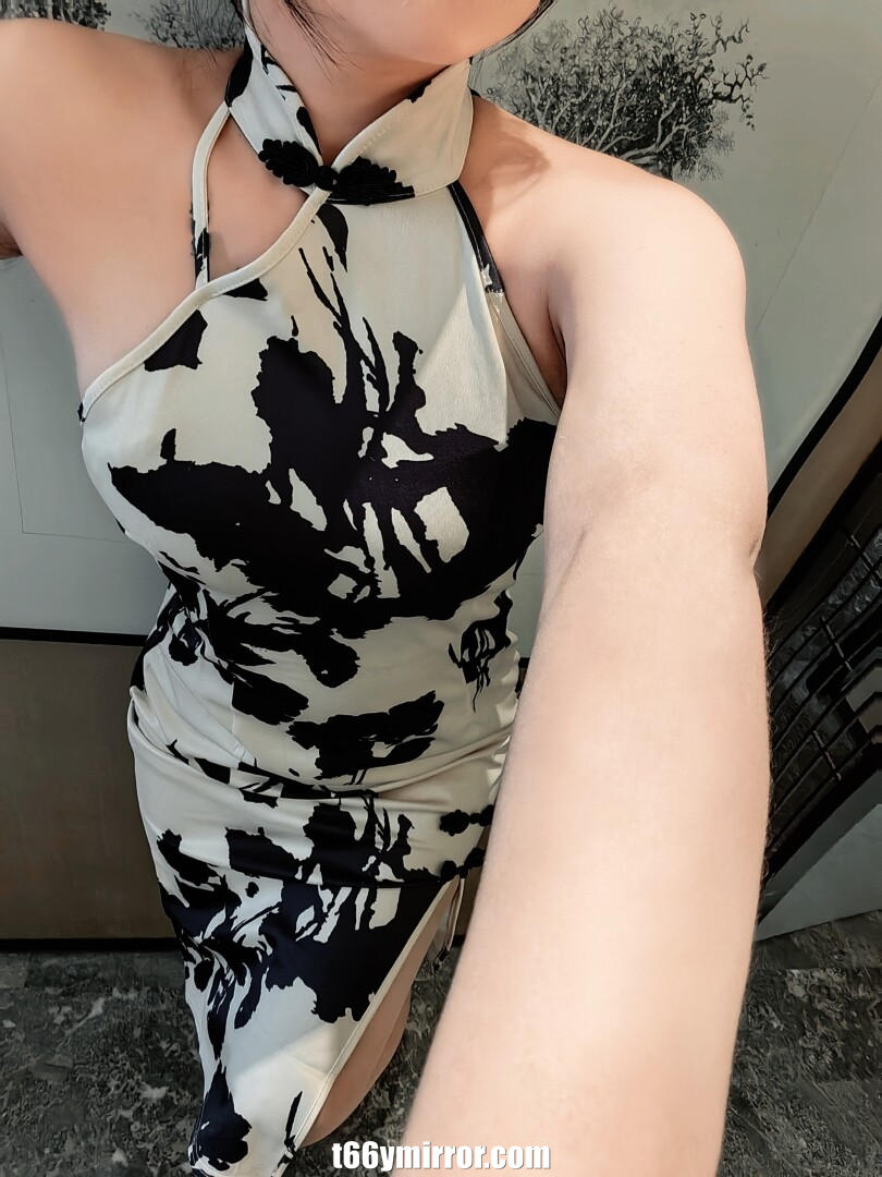 t66ymirror.com-04