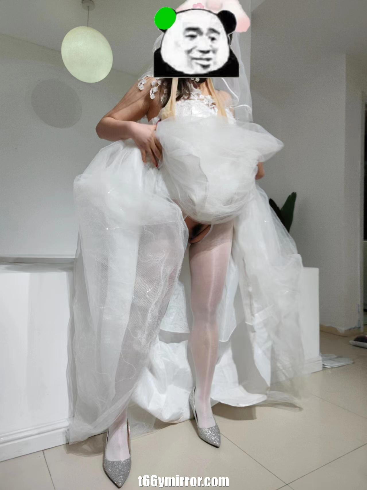 t66ymirror.com08