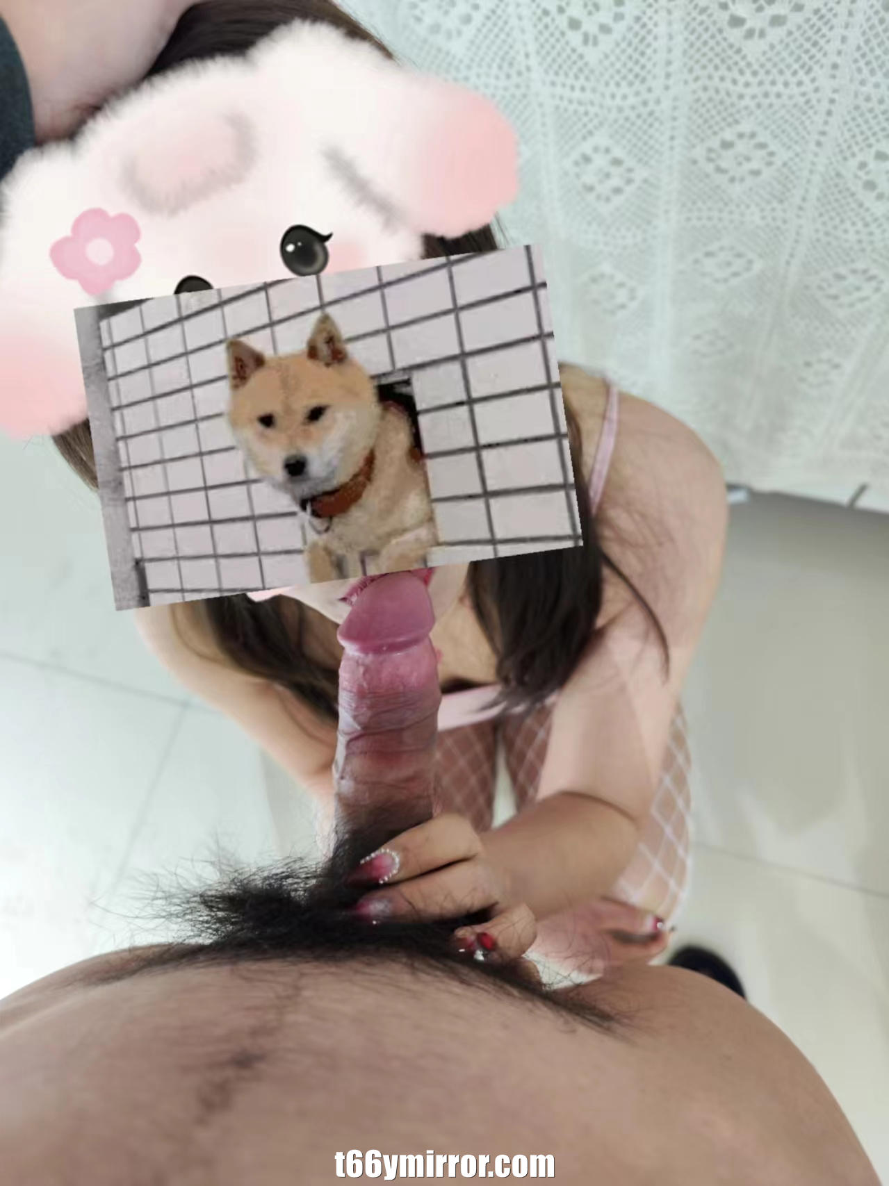 t66ymirror.com10