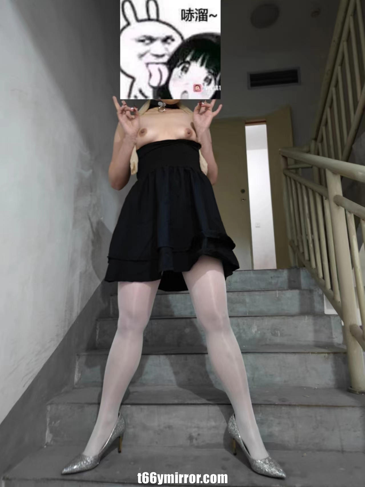t66ymirror.com11