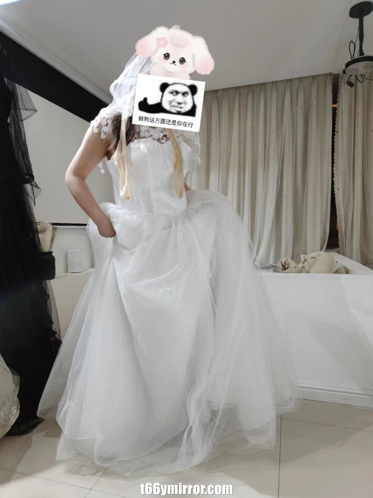 t66ymirror.com13
