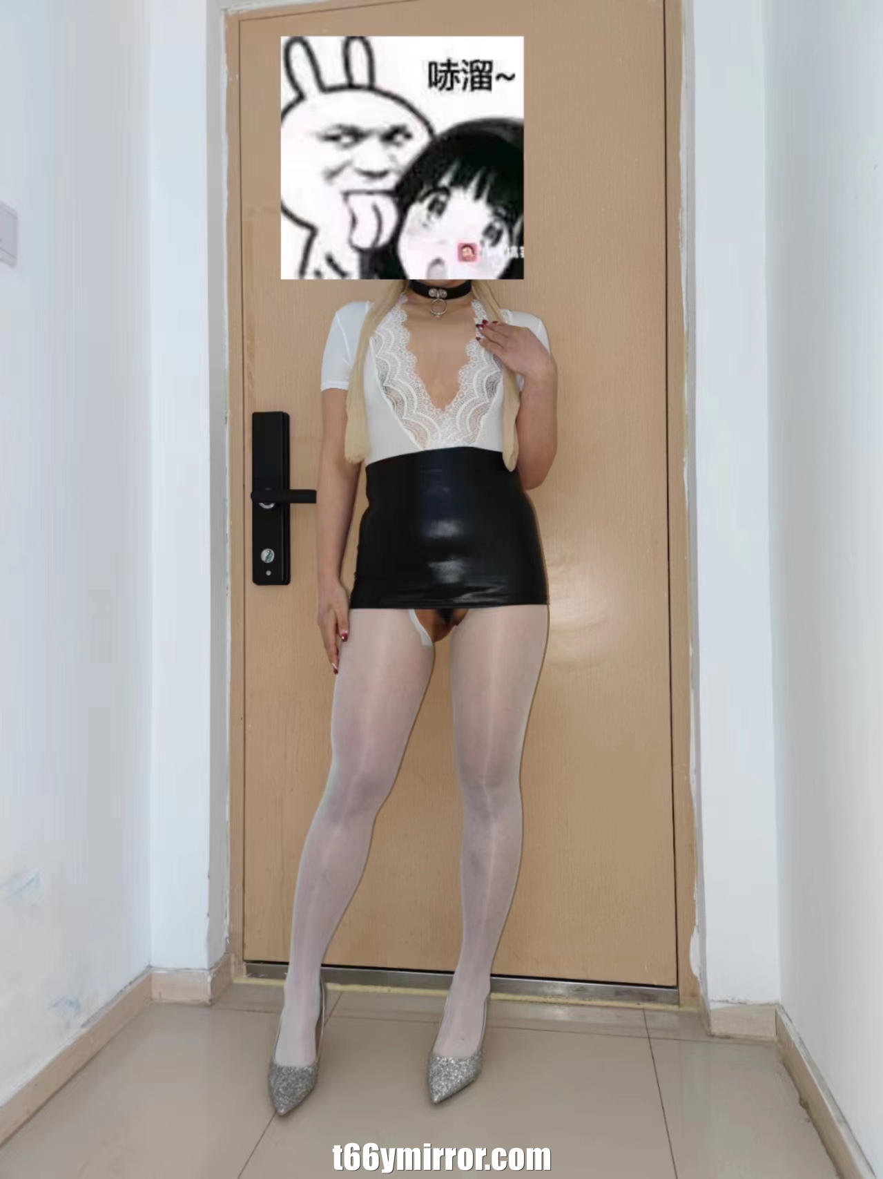 t66ymirror.com15