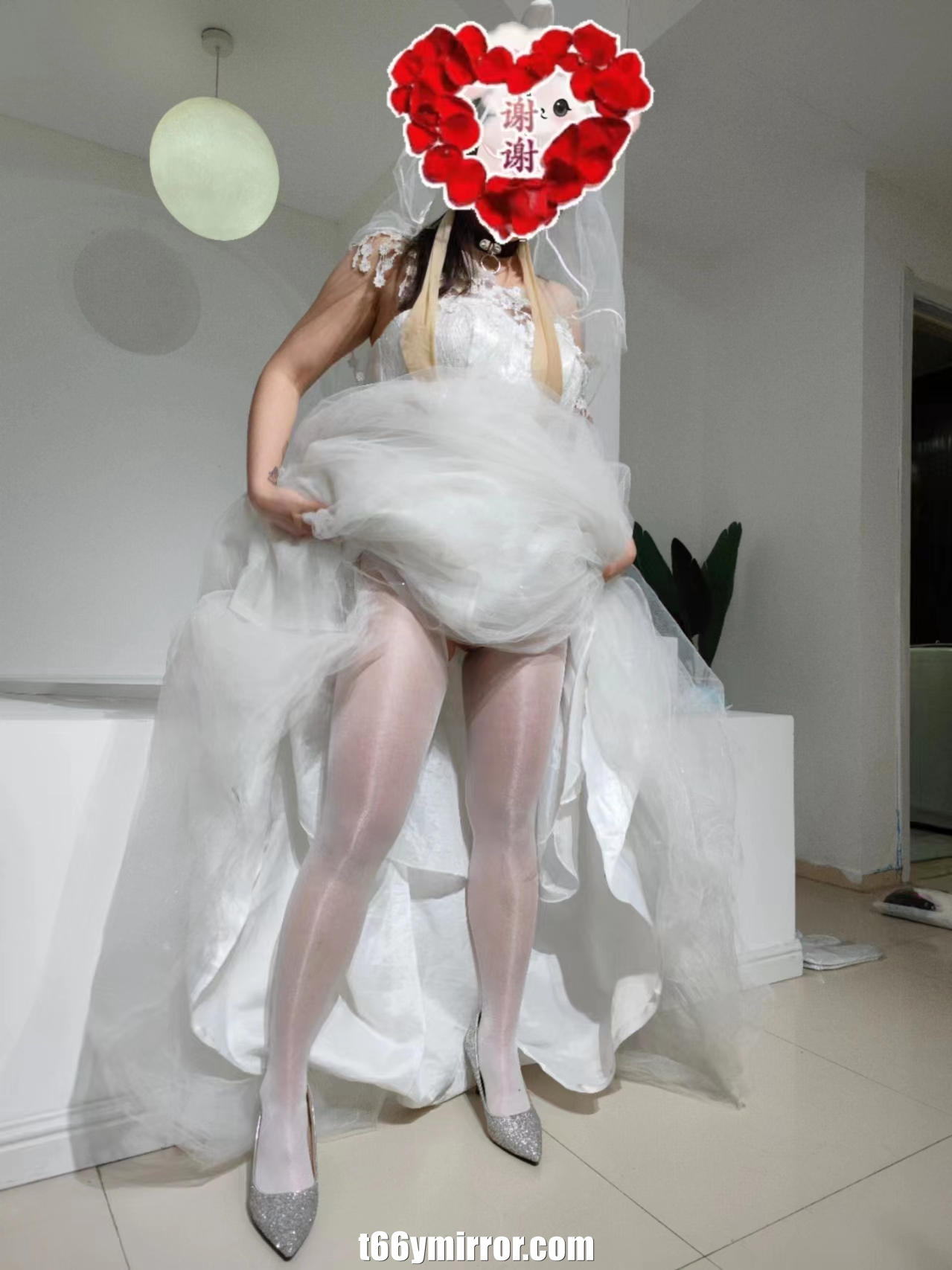 t66ymirror.com14