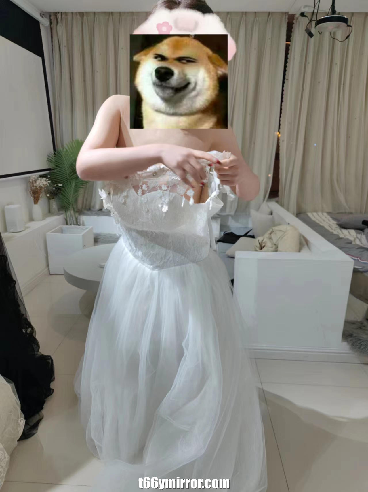t66ymirror.com20