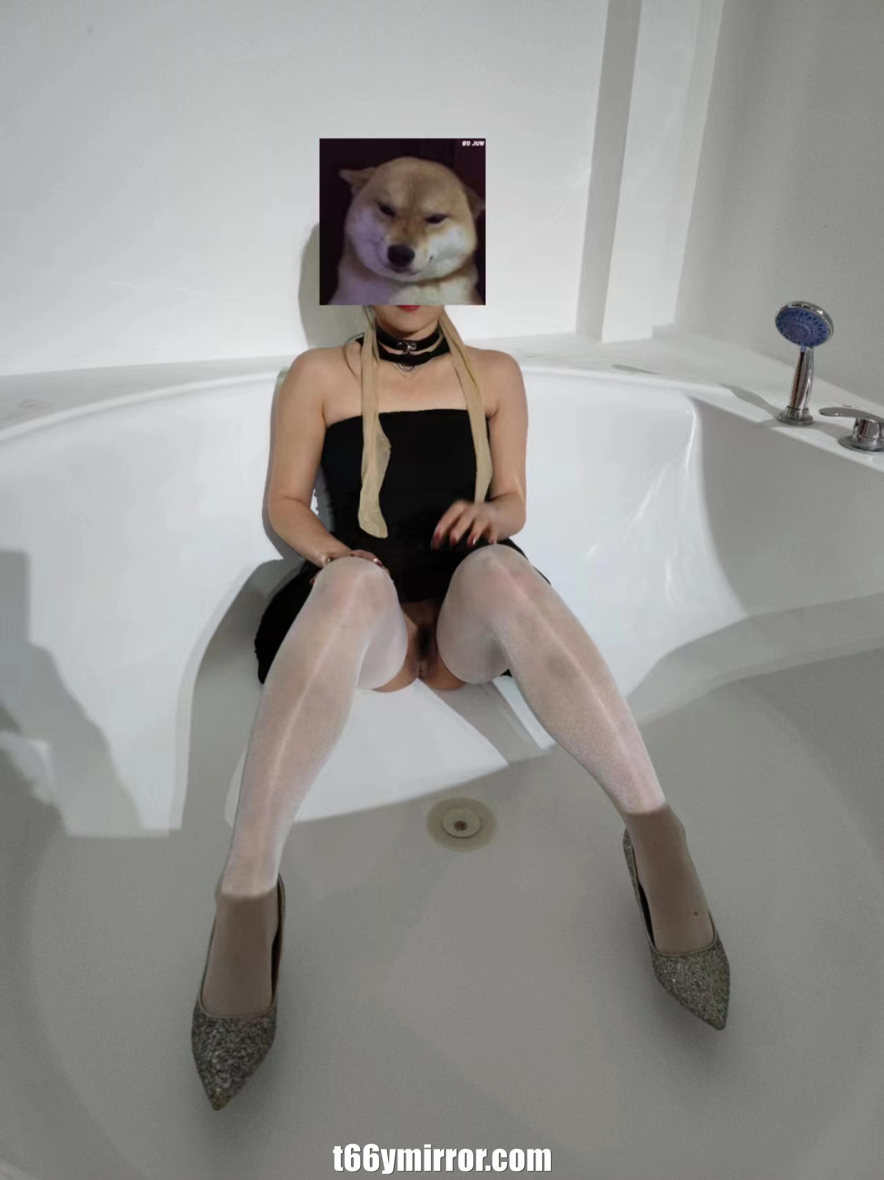 t66ymirror.com24
