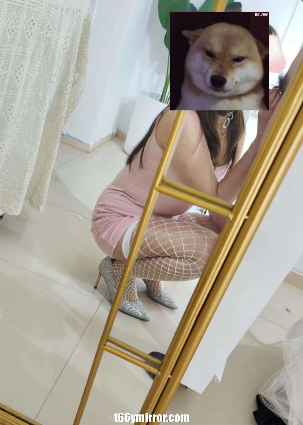 t66ymirror.com23