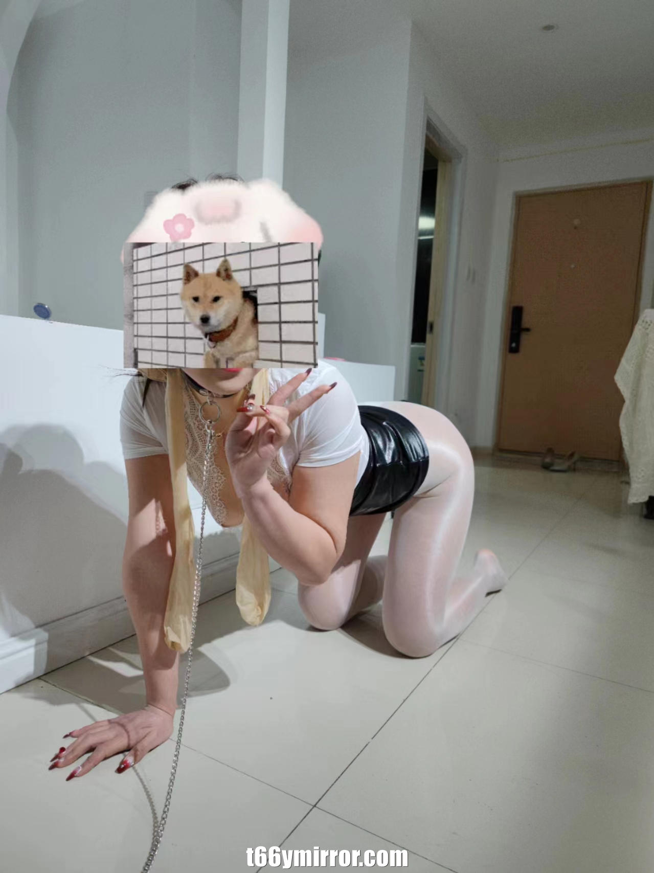 t66ymirror.com25