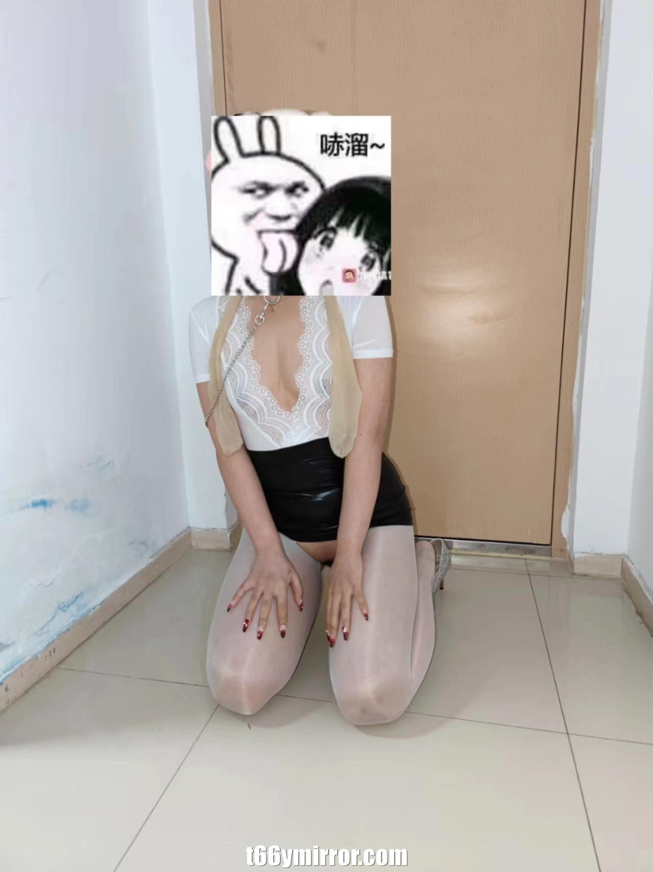 t66ymirror.com28