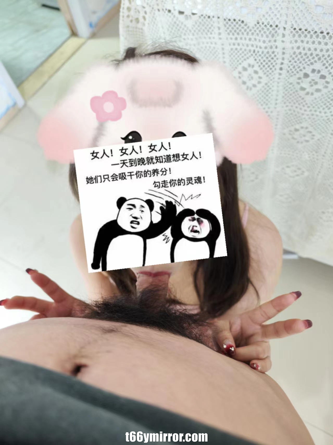 t66ymirror.com31