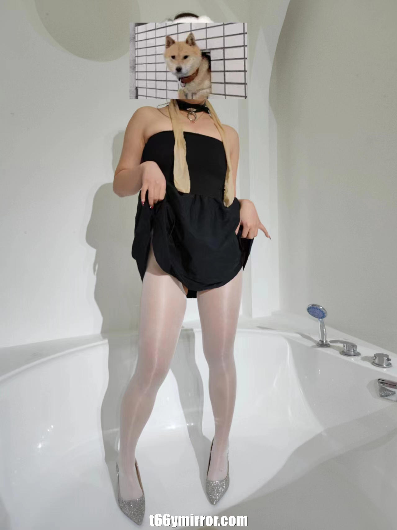 t66ymirror.com33