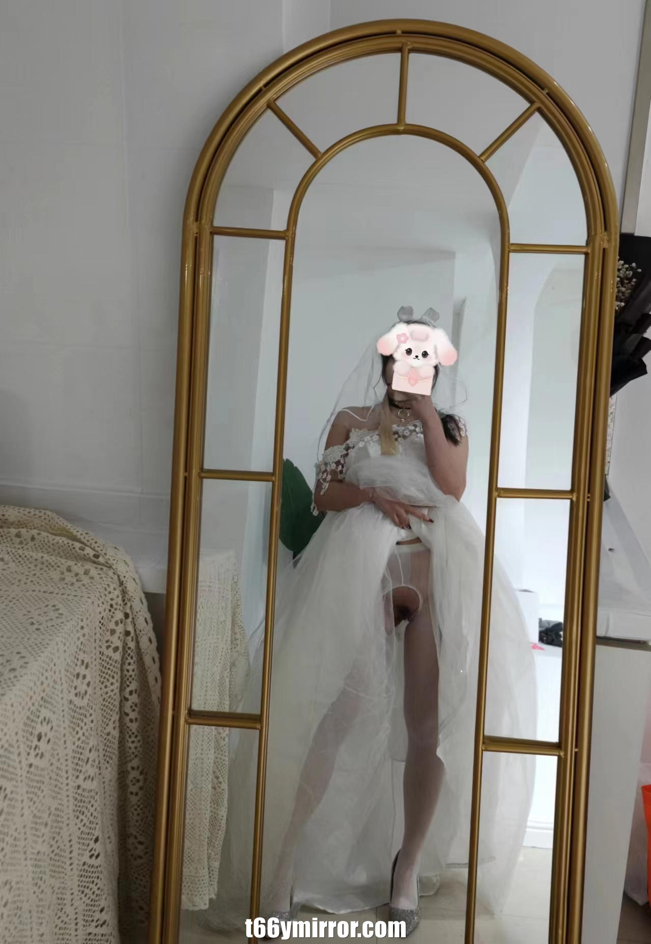 t66ymirror.com34