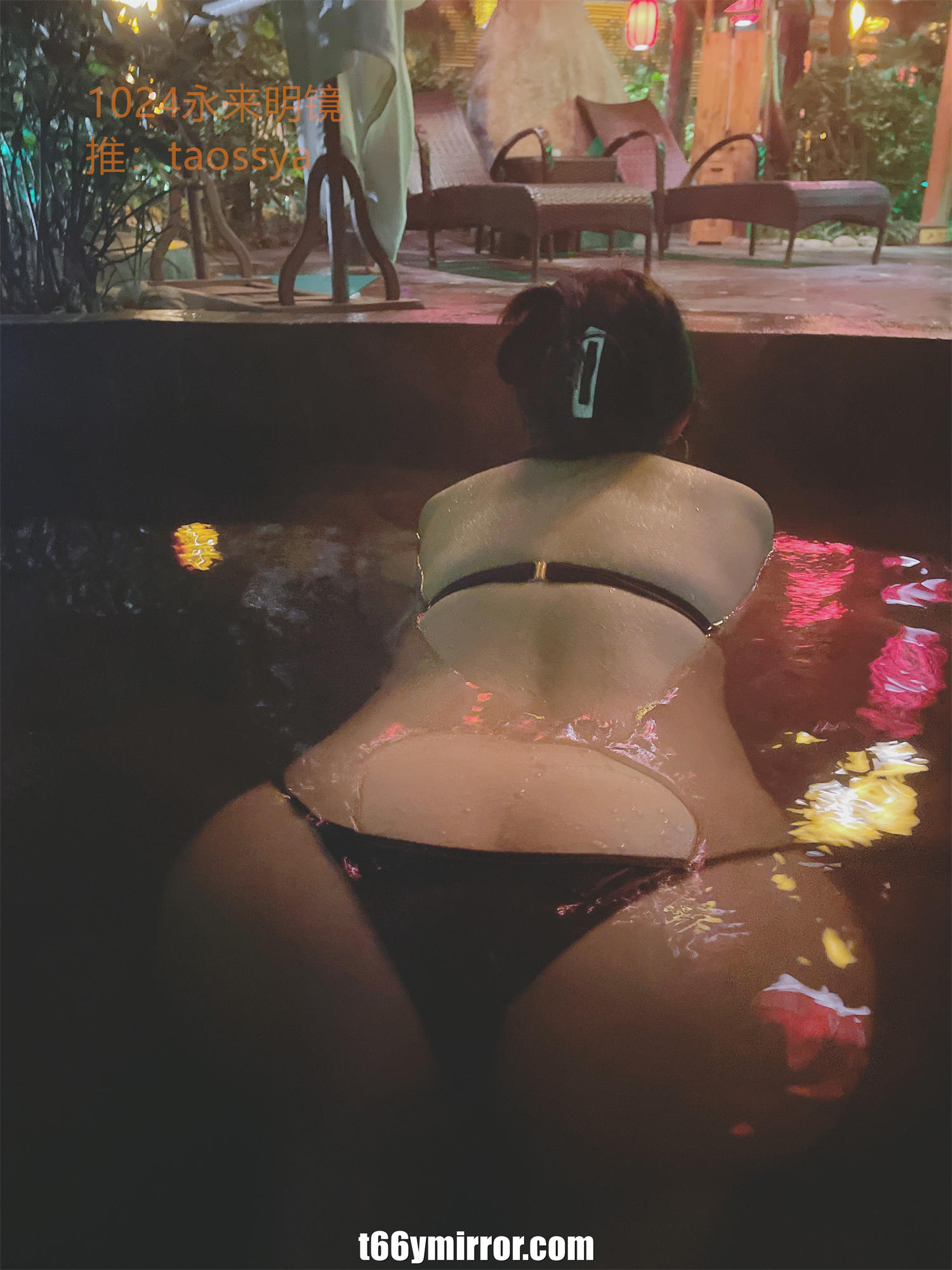 t66ymirror.com27