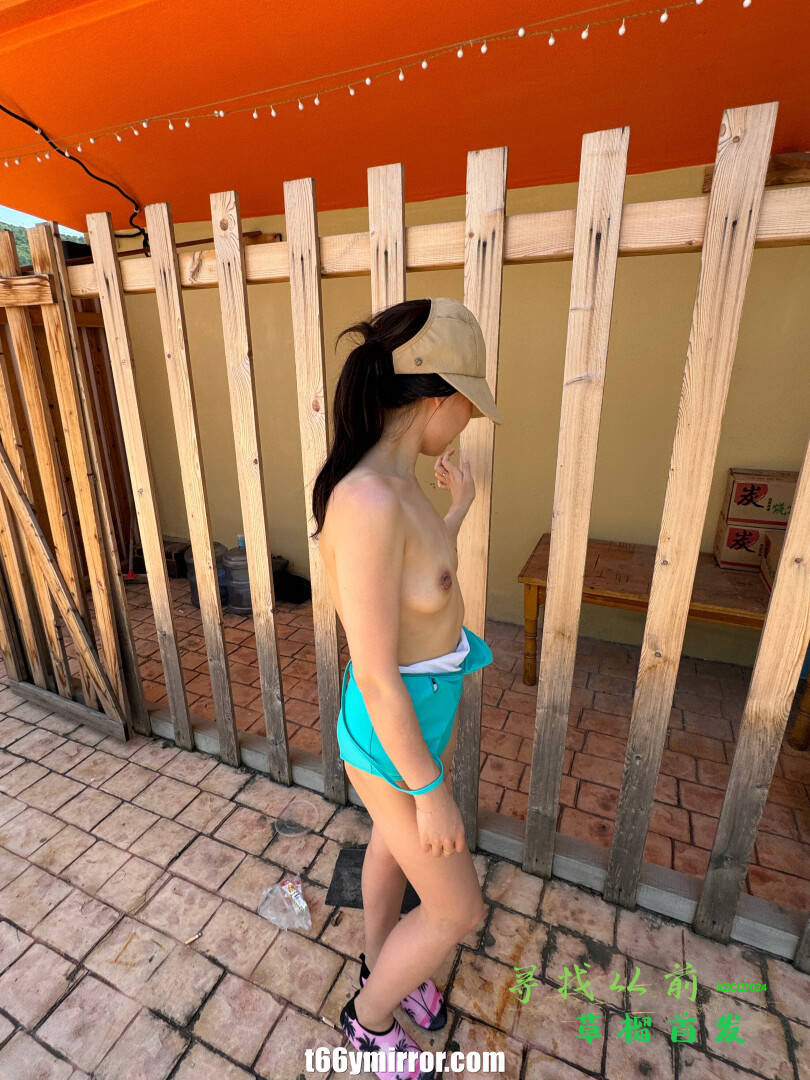 t66ymirror.com (13)