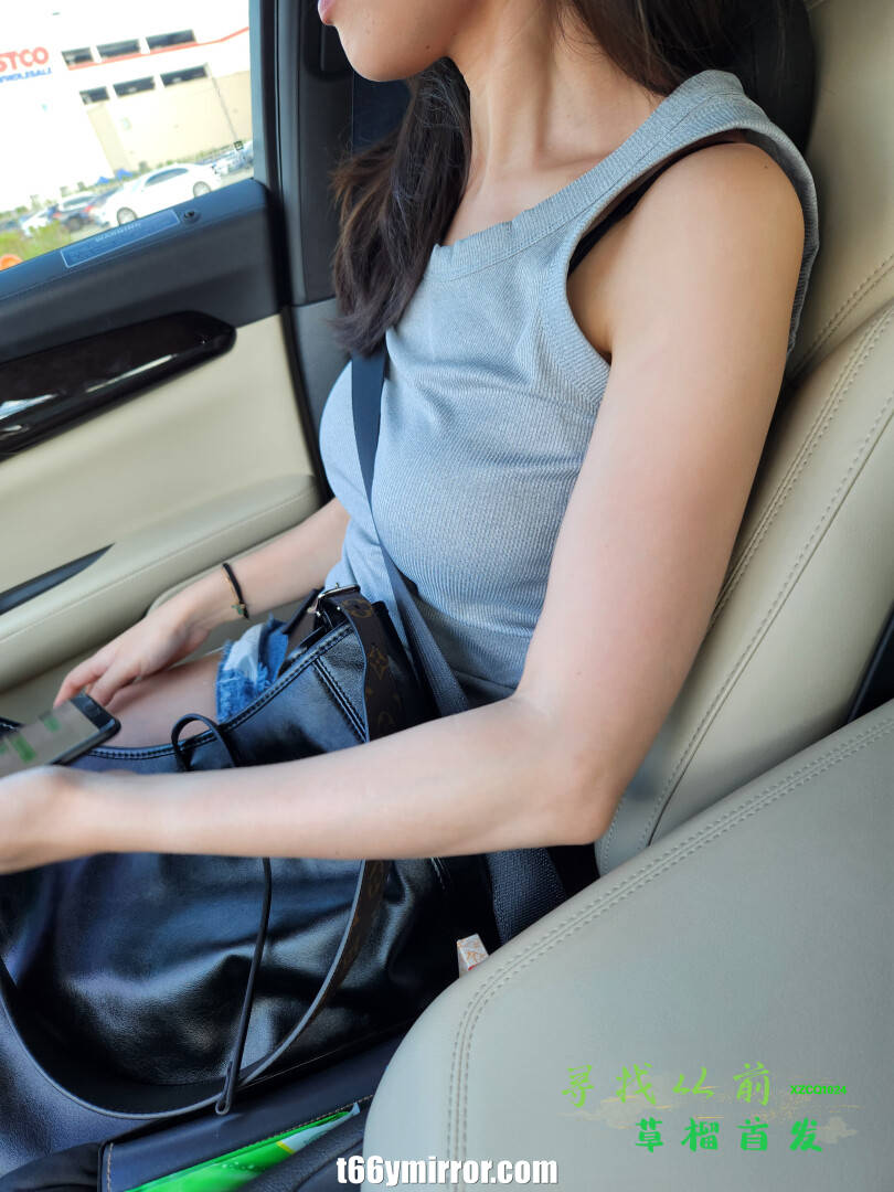 t66ymirror.com (20)