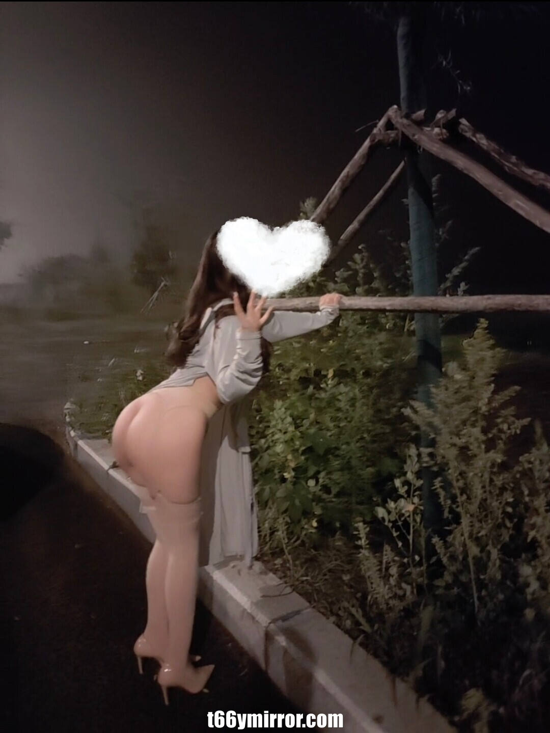 t66ymirror.com12