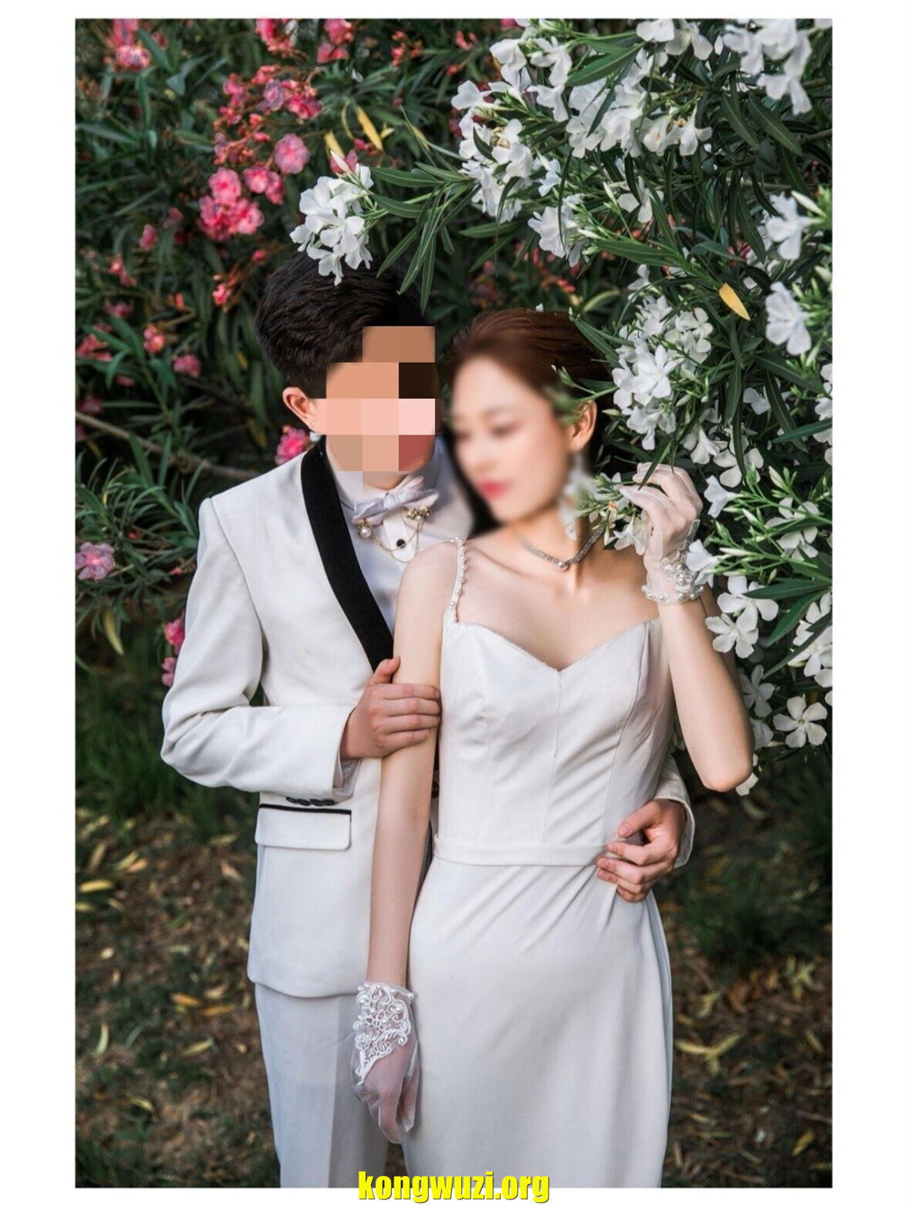 t66ymirror.com25