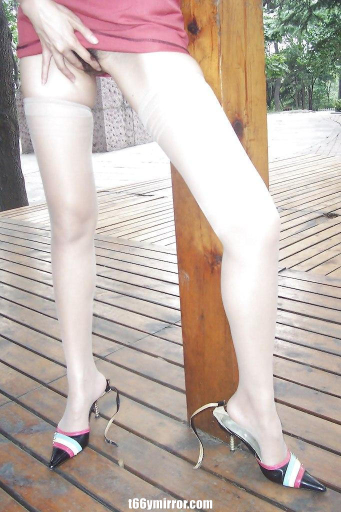 t66ymirror.com02
