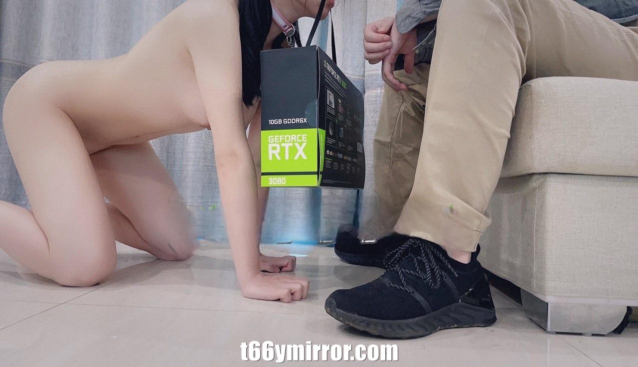 t66ymirror.com24