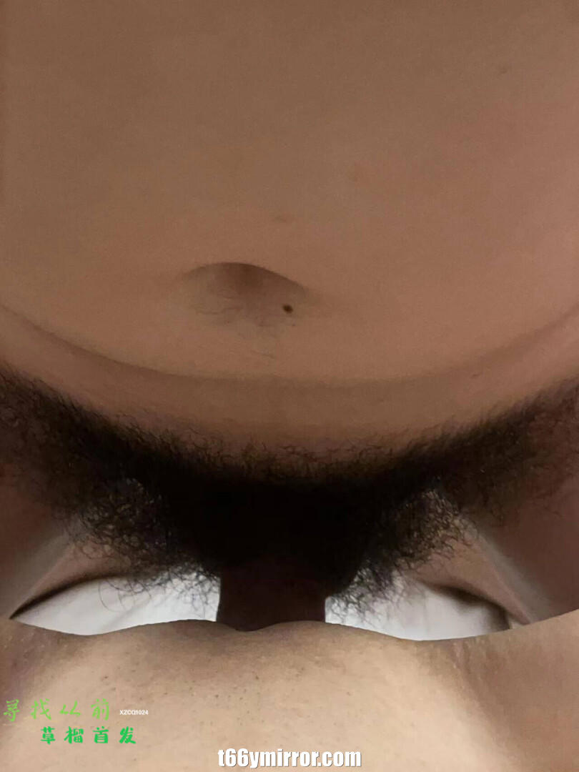 t66ymirror.com06