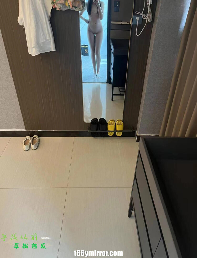 t66ymirror.com13