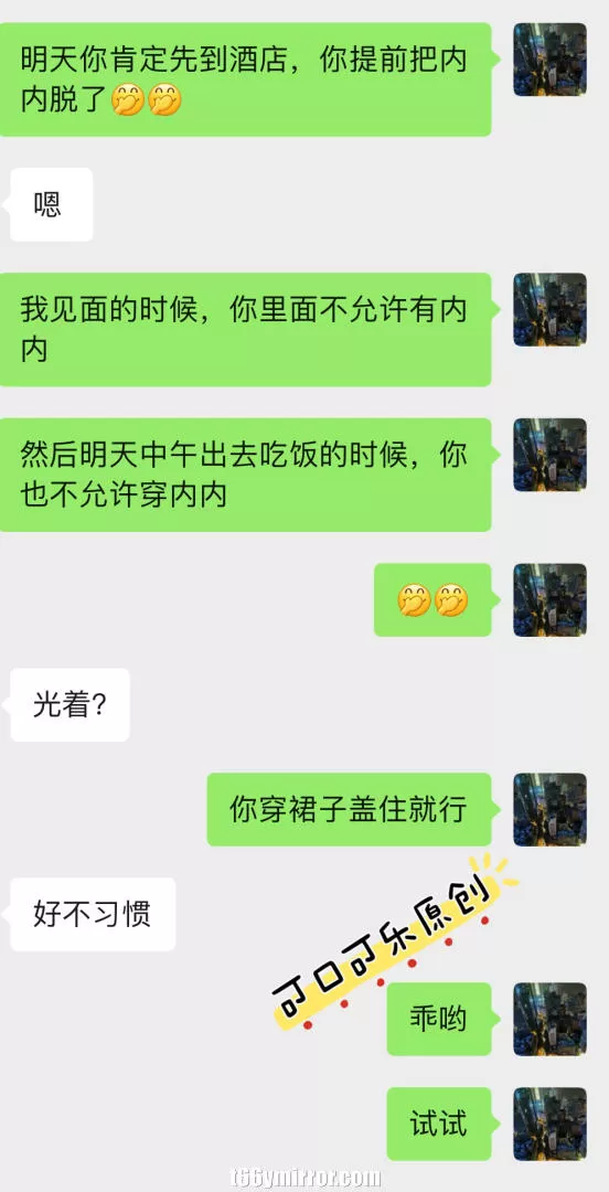 t66ymirror.com02