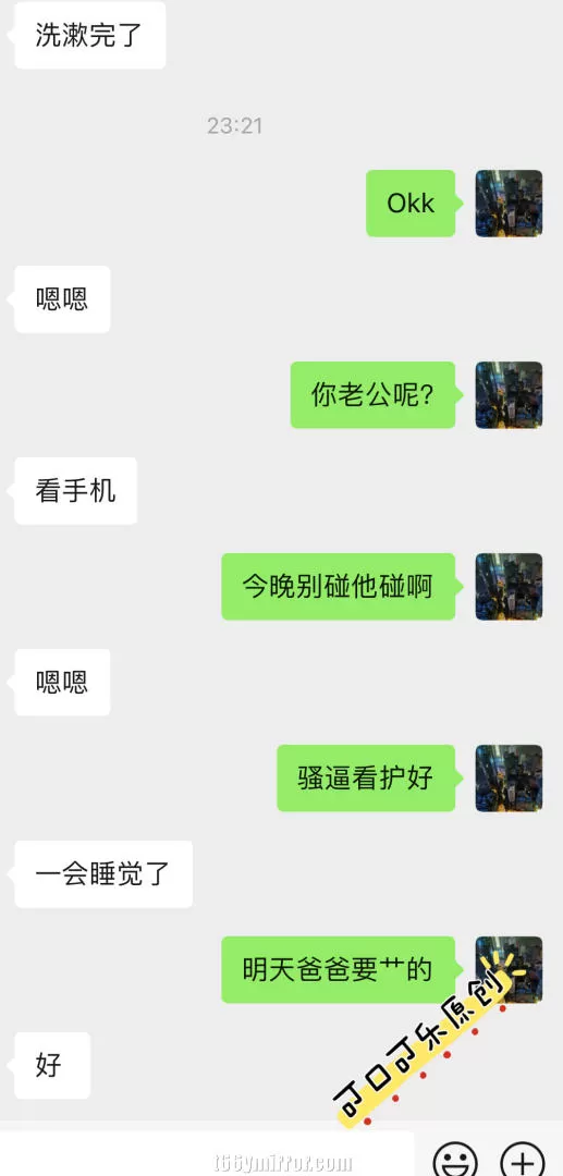 t66ymirror.com15