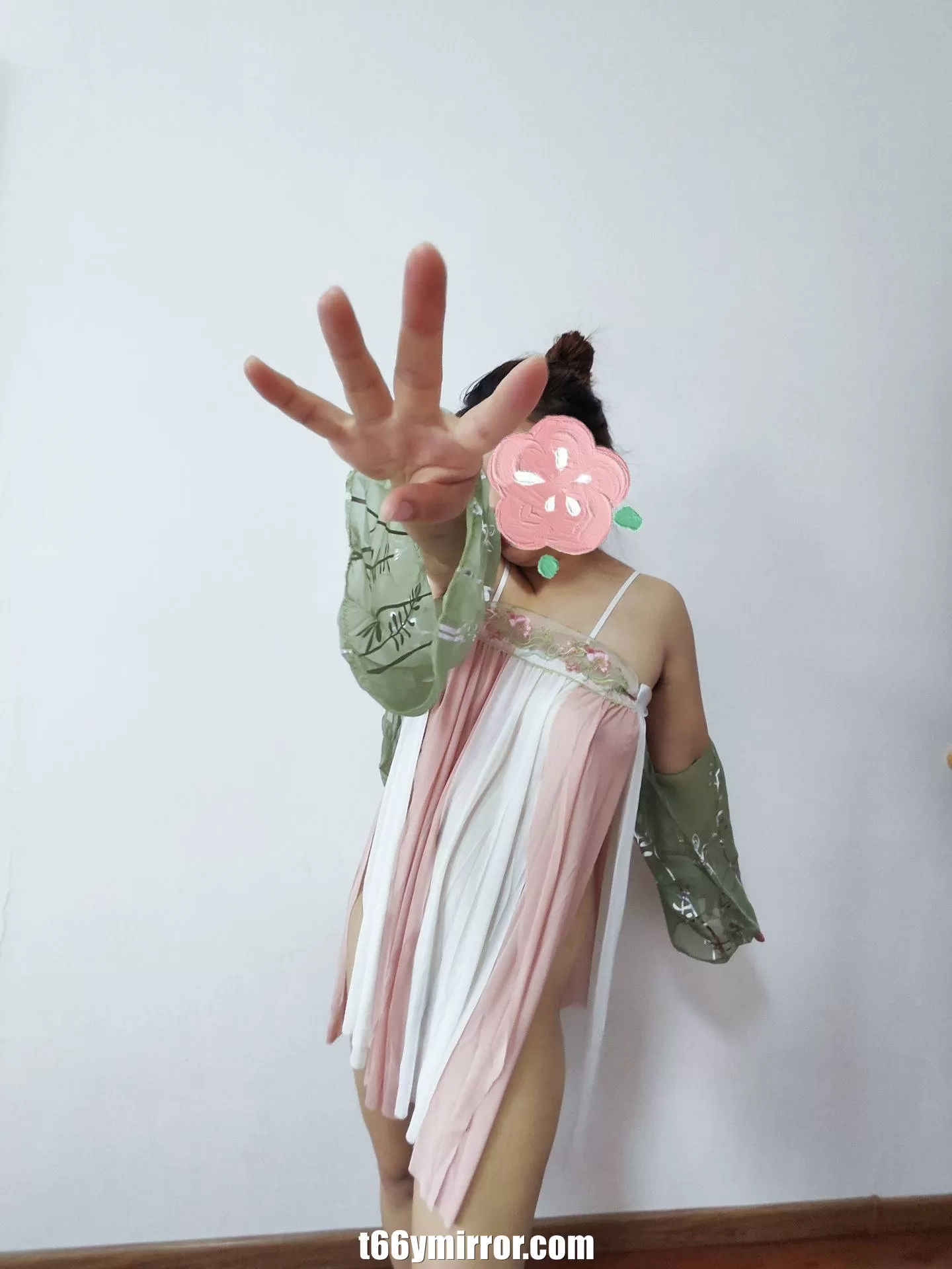 t66ymirror.com02