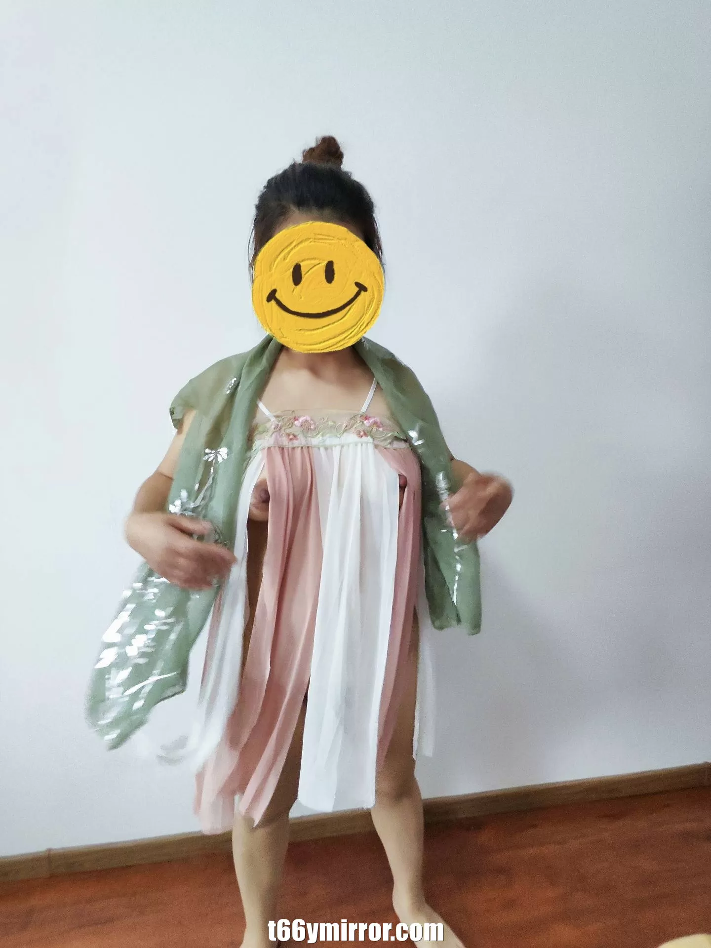 t66ymirror.com03