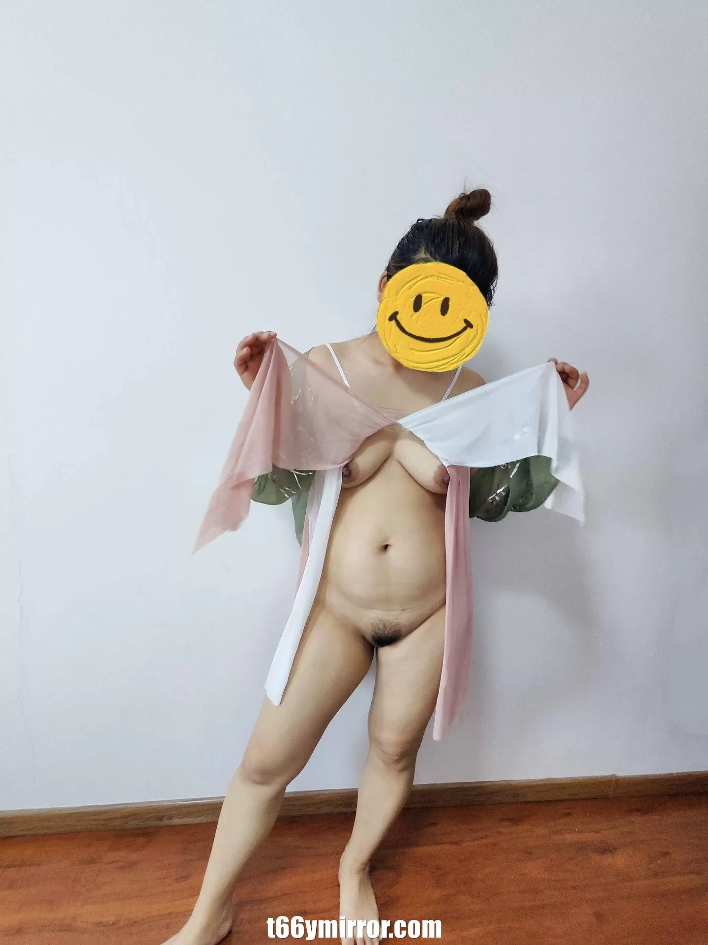 t66ymirror.com05