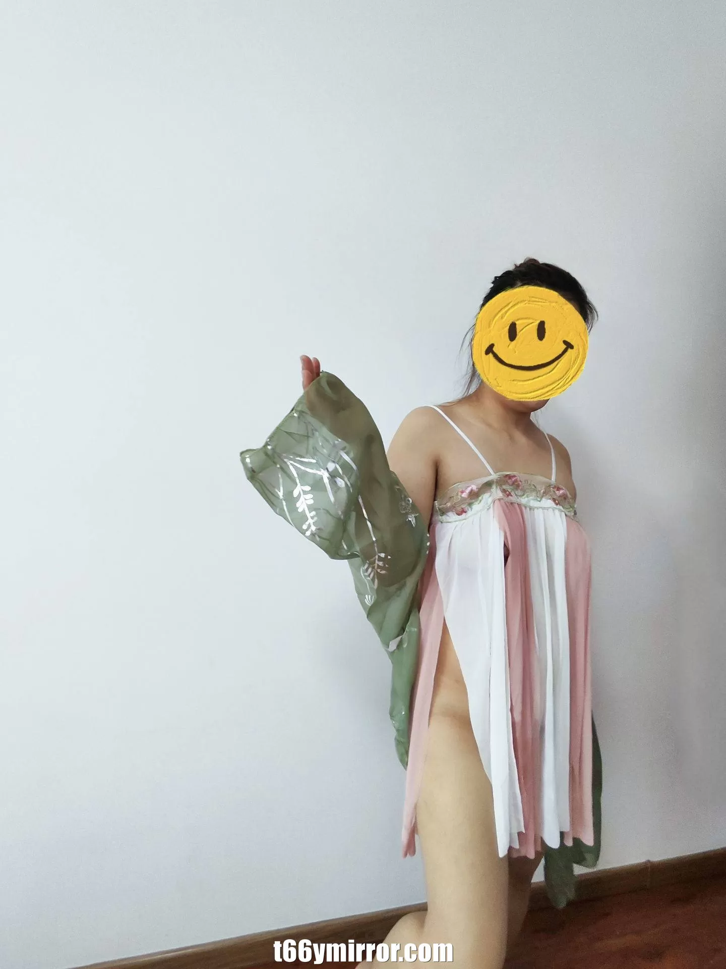 t66ymirror.com10