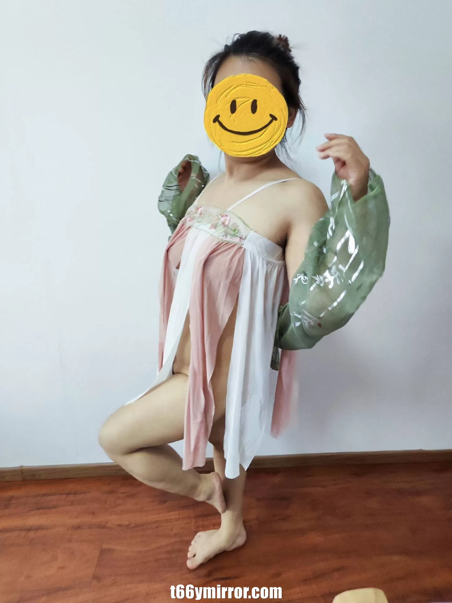 t66ymirror.com13