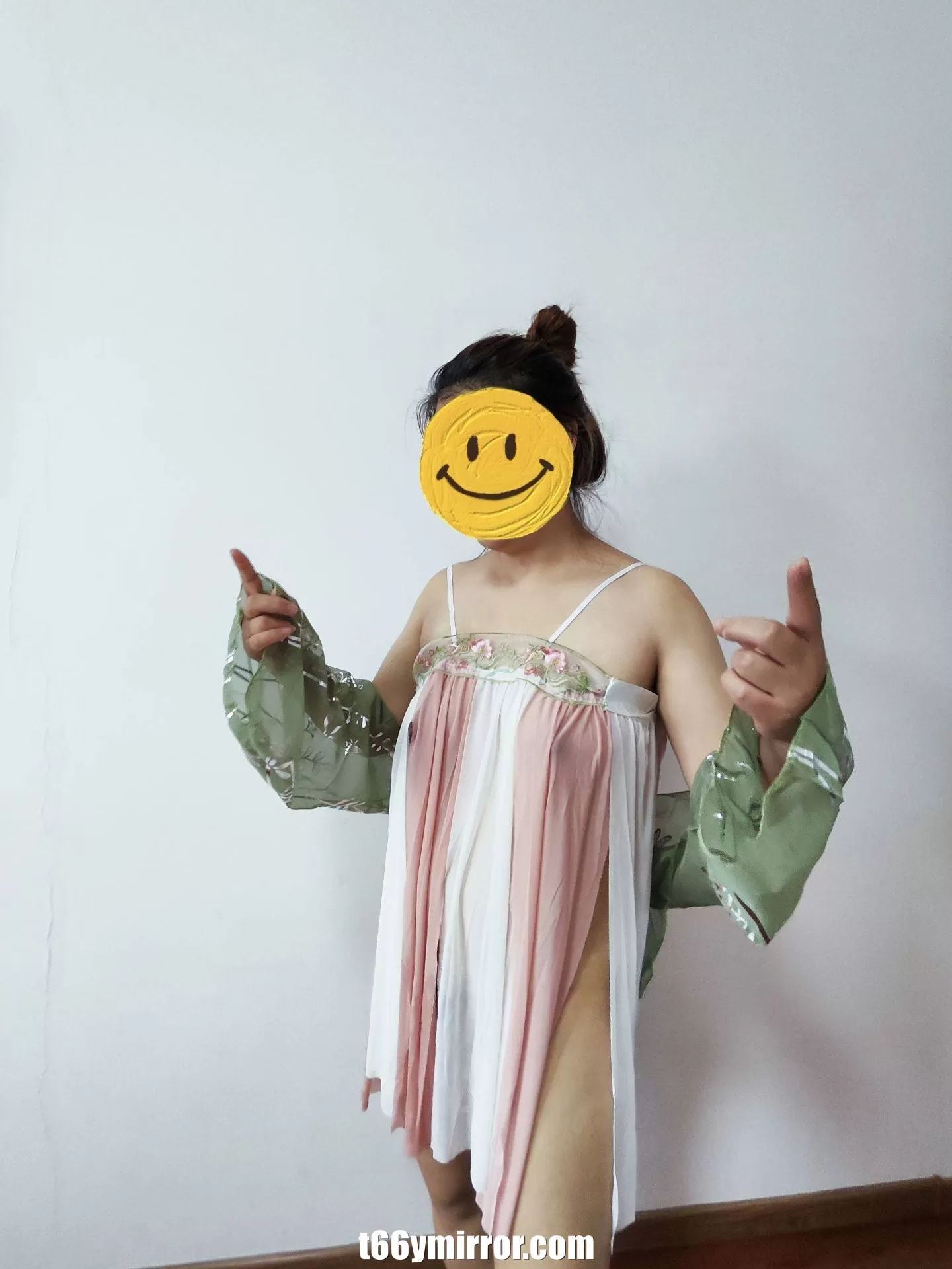t66ymirror.com14