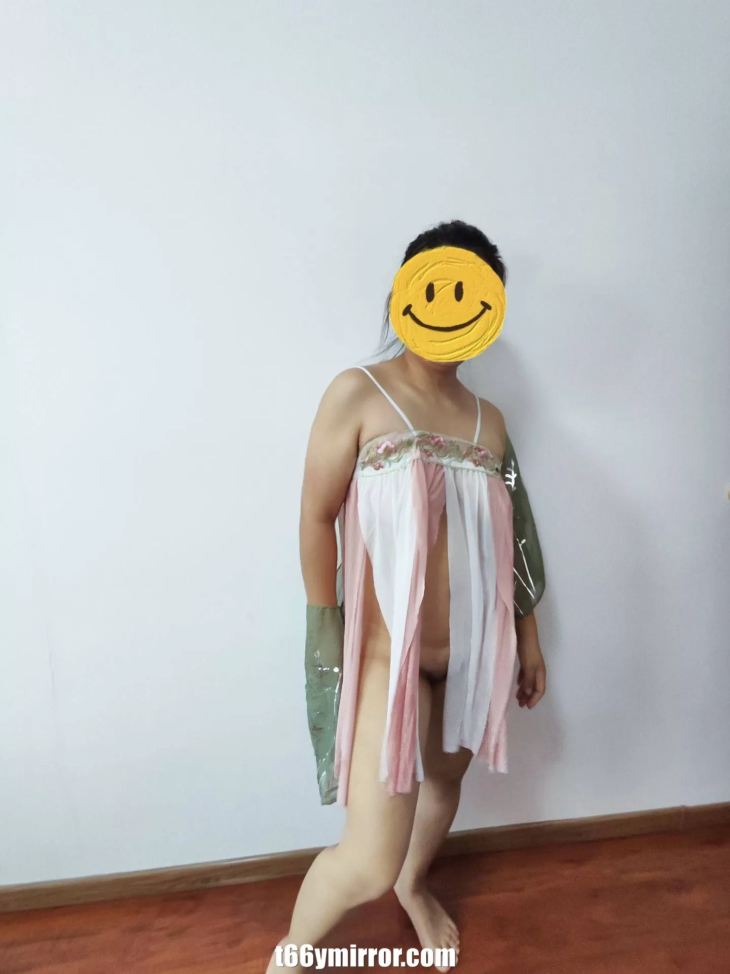 t66ymirror.com19