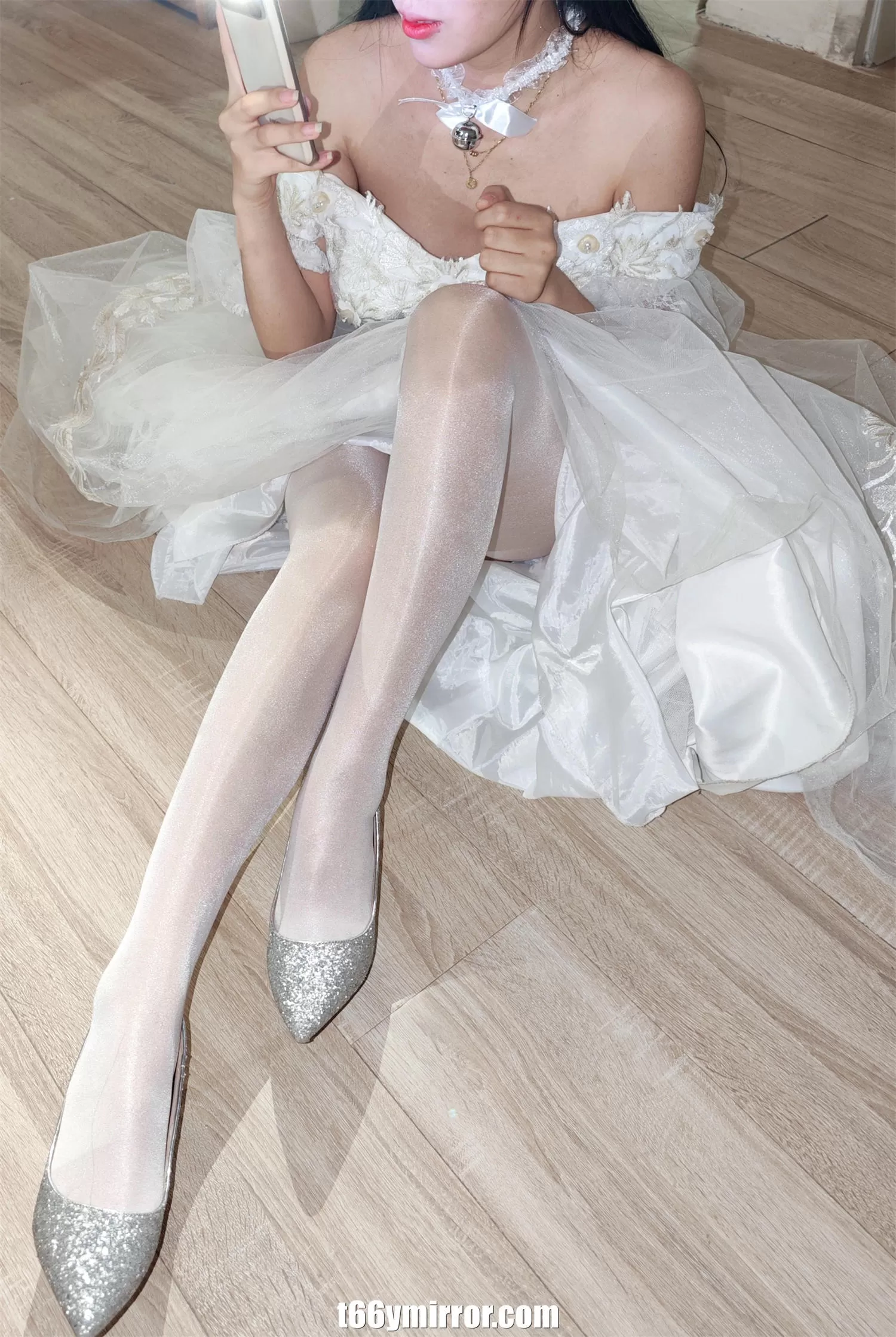 t66ymirror.com (2)
