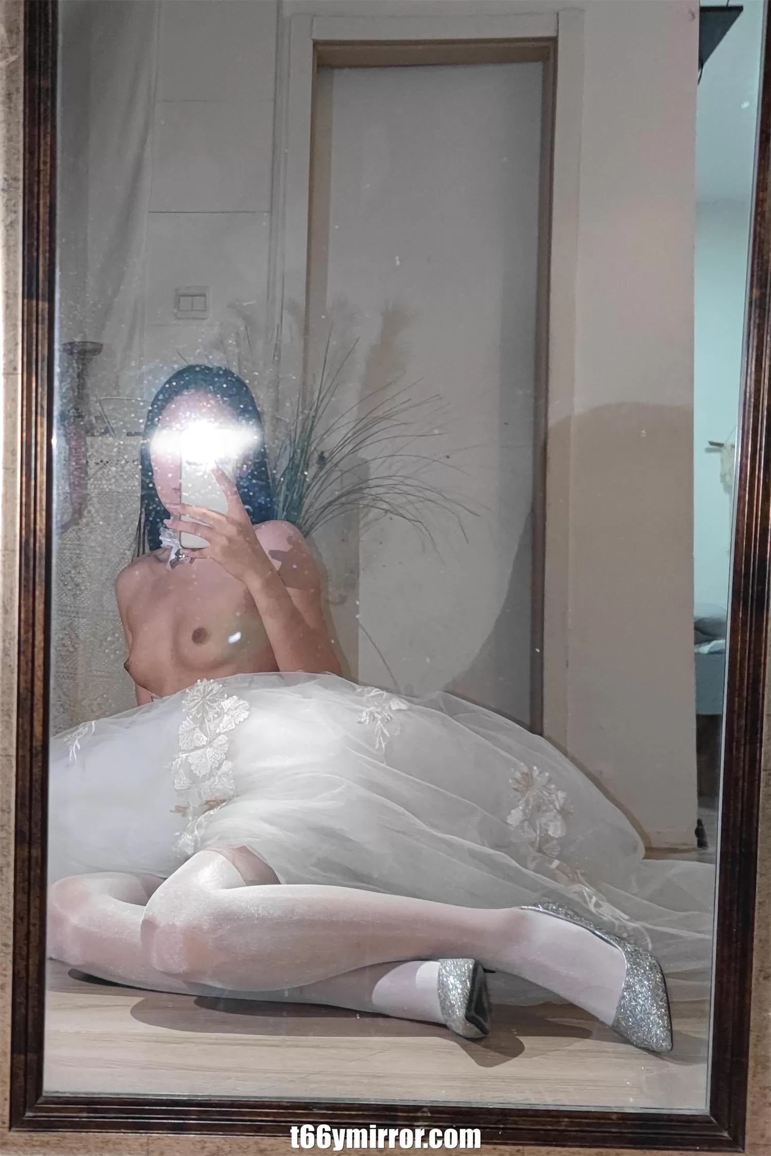 t66ymirror.com (4)