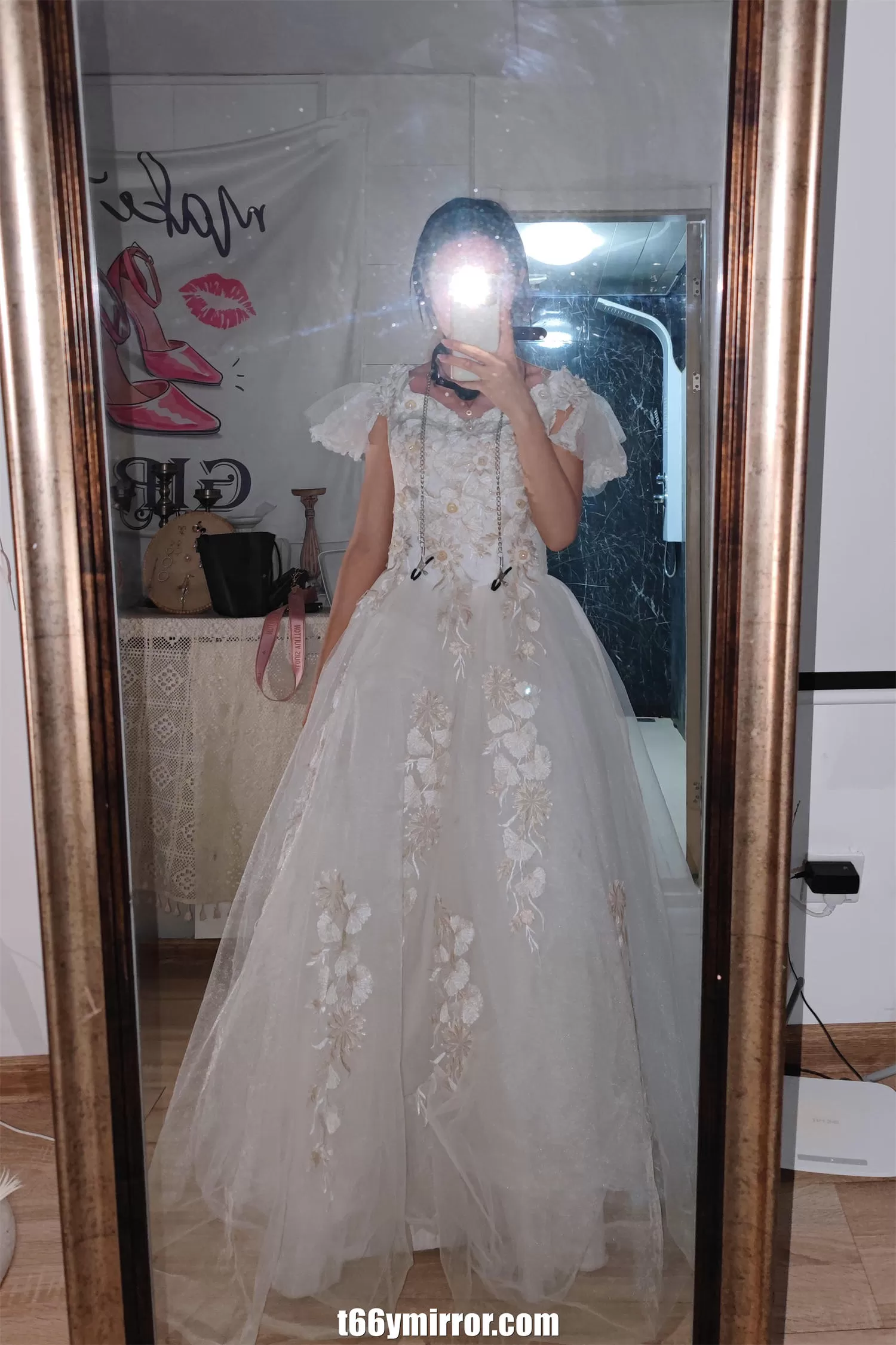 t66ymirror.com (5)