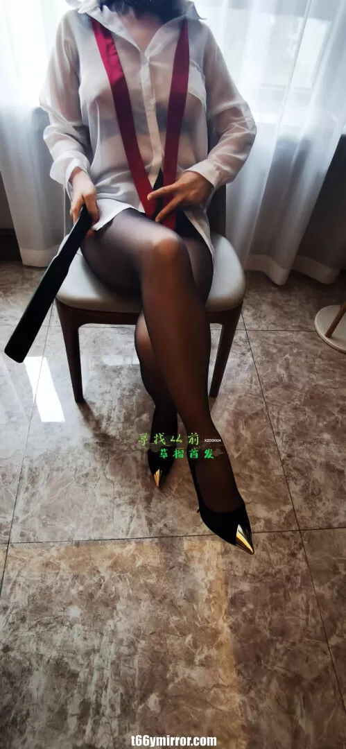 t66ymirror.com03