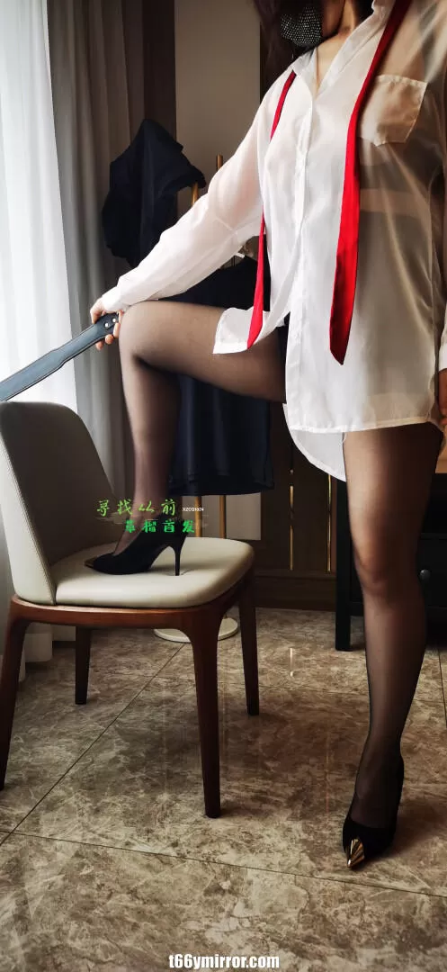 t66ymirror.com10