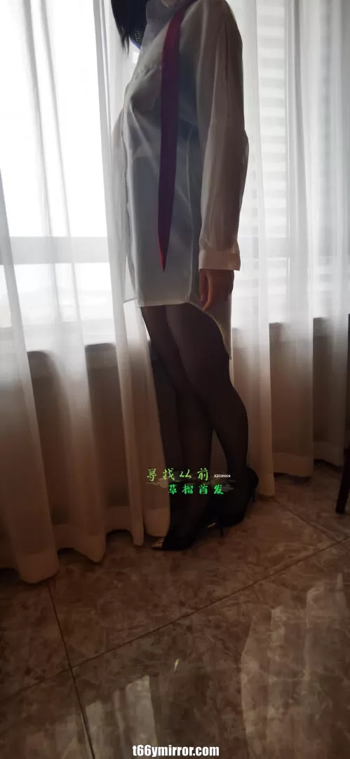 t66ymirror.com12