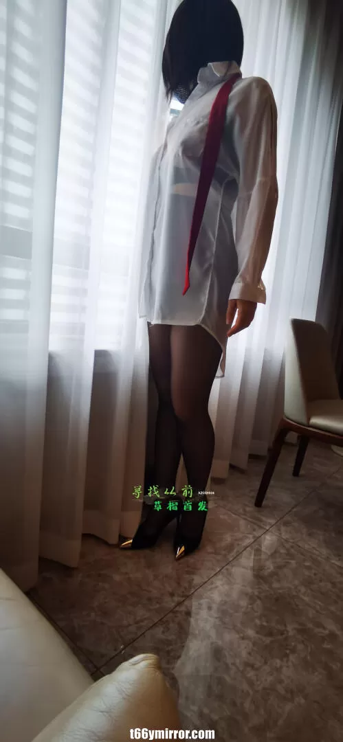 t66ymirror.com15