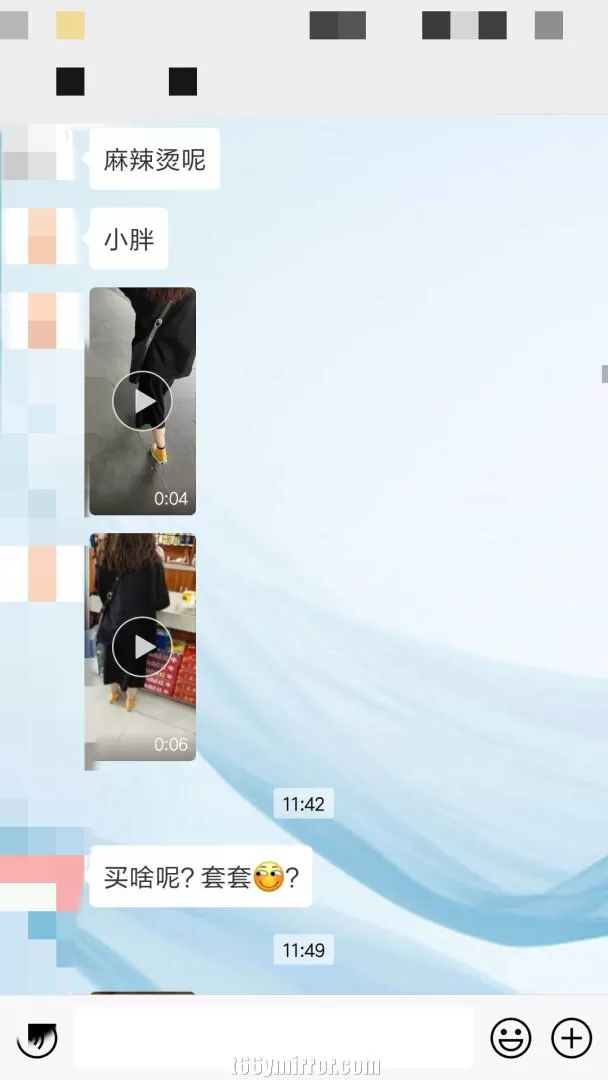 t66ymirror.com14