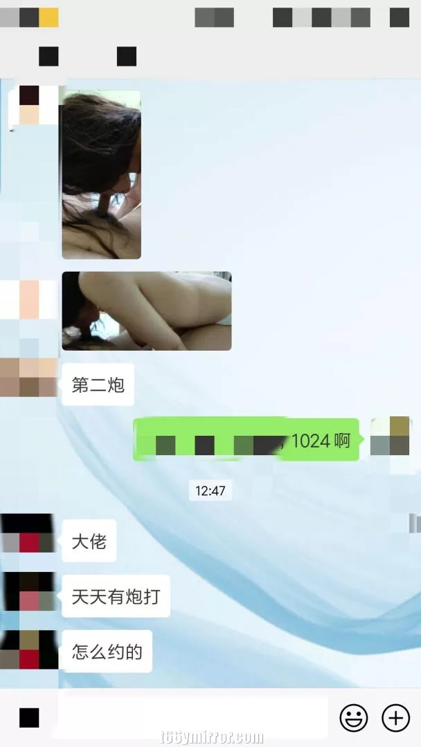 t66ymirror.com15