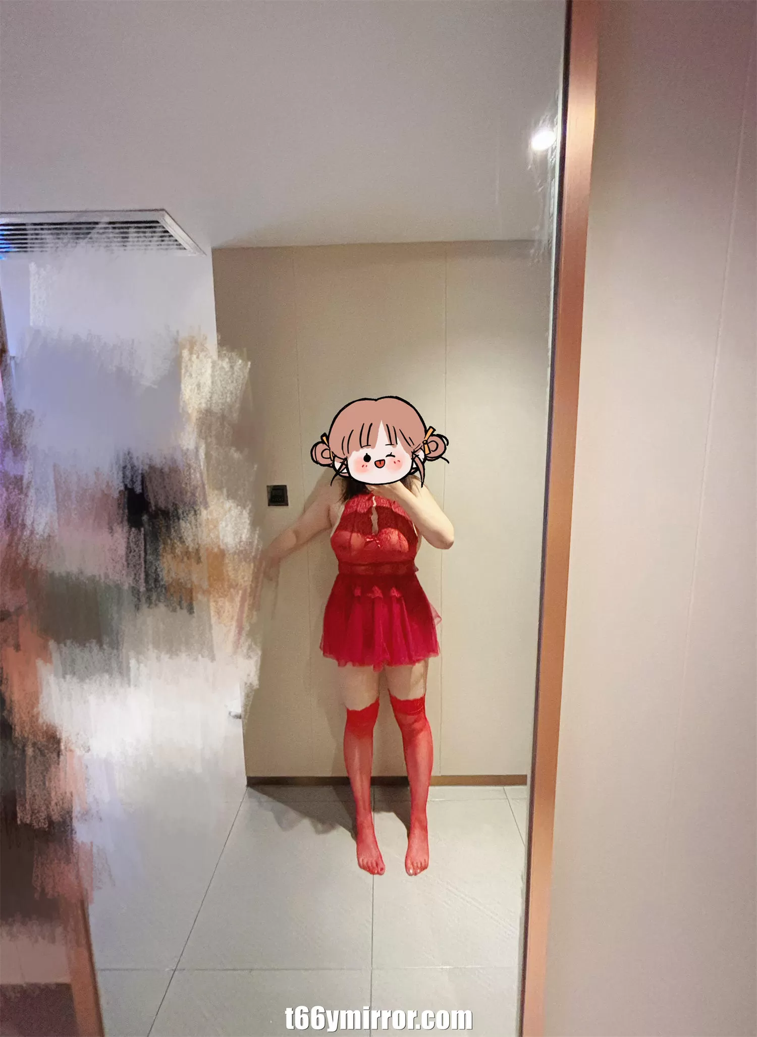 t66ymirror.com (13)