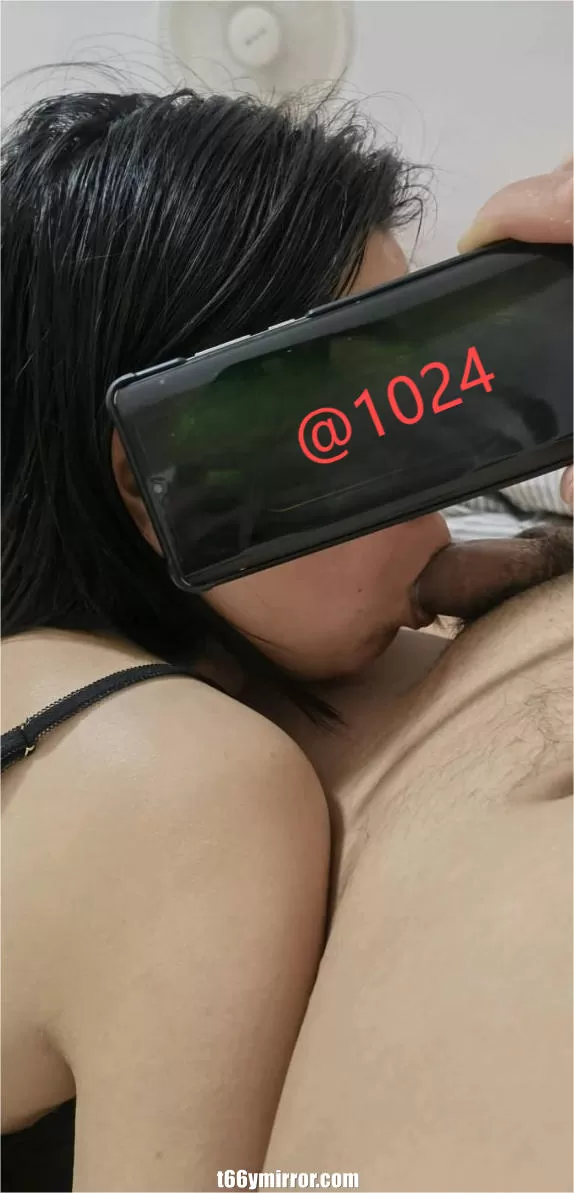 t66ymirror.com17
