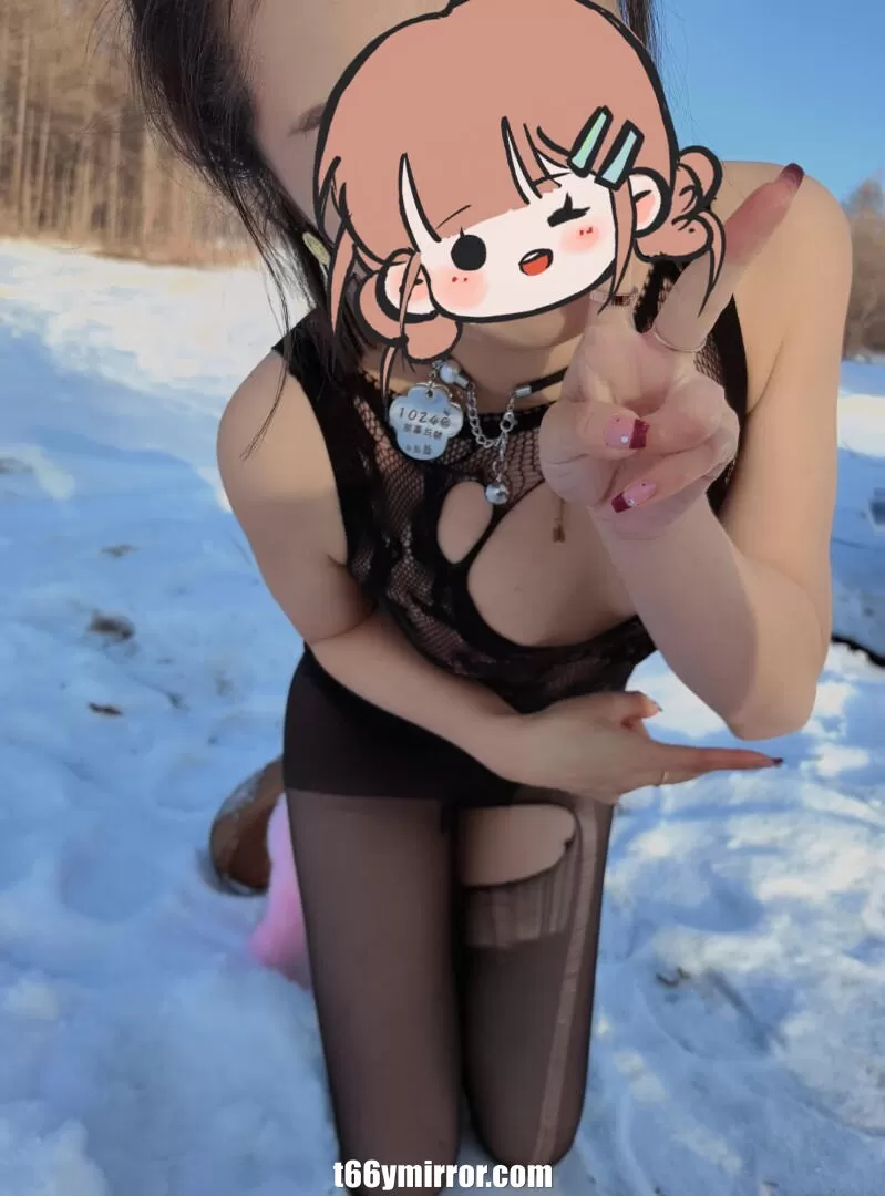 t66ymirror.com (3)