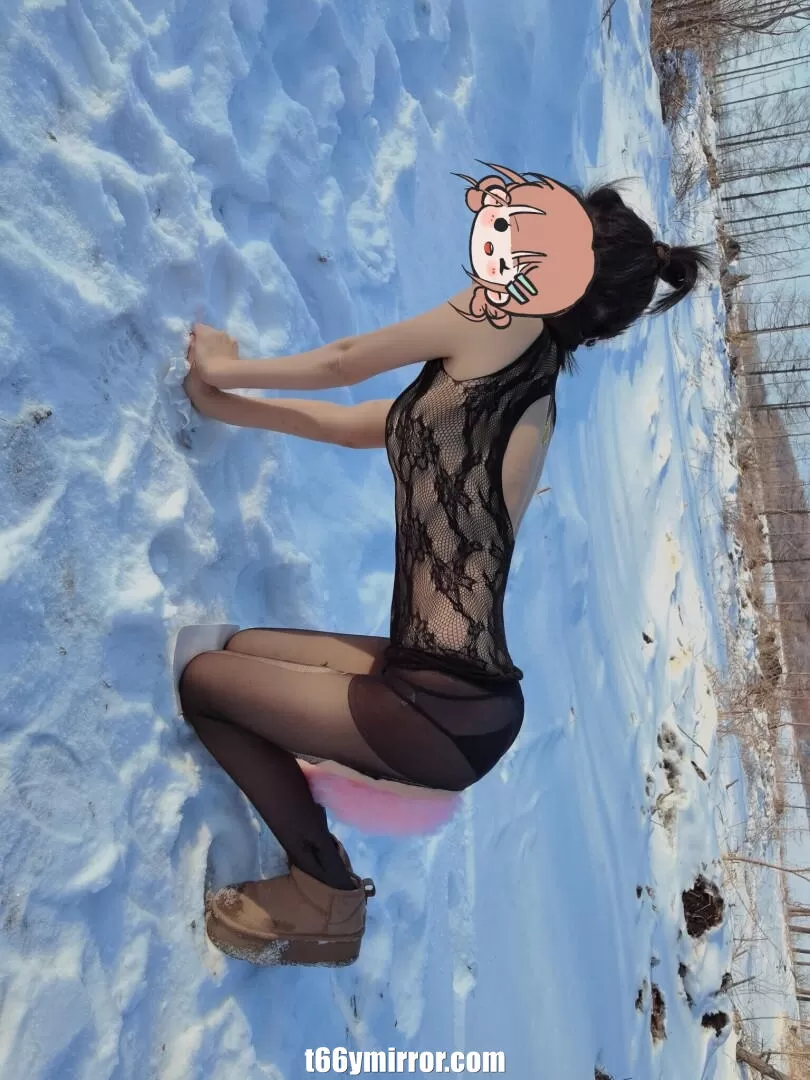 t66ymirror.com (6)