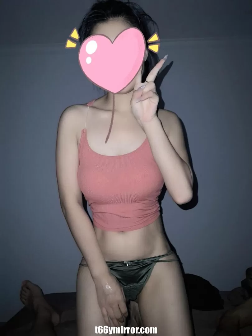 t66ymirror.com (31)